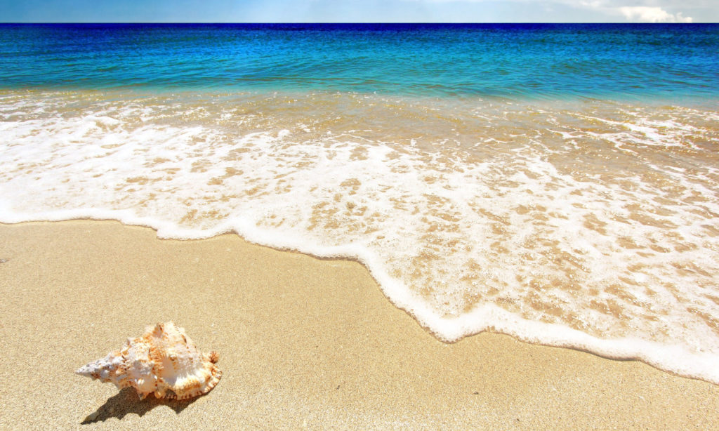 Cape Coral, Fort Myers, Sanibel House Cleaning and Maid Services